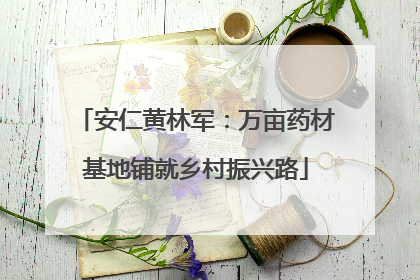 安仁黄林军：万亩药材基地铺就乡村振兴路