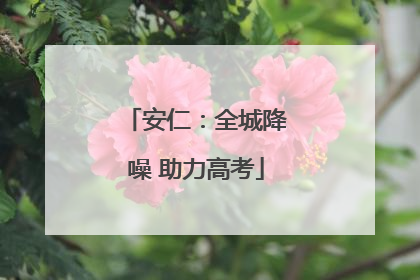 安仁：全城降噪 助力高考