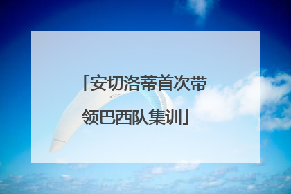 安切洛蒂首次带领巴西队集训