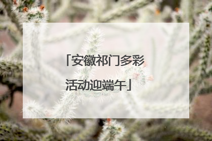 安徽祁门多彩活动迎端午