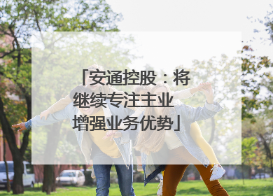 安通控股：将继续专注主业 增强业务优势