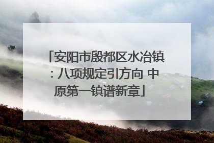 安阳市殷都区水冶镇：八项规定引方向 中原第一镇谱新章