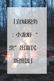 宜城税务：小龙虾“烹”出富民新图景