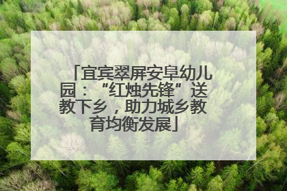 宜宾翠屏安阜幼儿园：“红烛先锋”送教下乡，助力城乡教育均衡发展