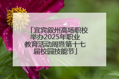 宜宾叙州高场职校举办2025年职业教育活动周暨第十七届校园技能节