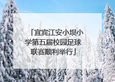 宜宾江安小坝小学第五届校园足球联赛顺利举行