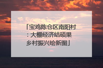 宝鸡陈仓区南阳村：大棚经济结硕果 乡村振兴绘新图