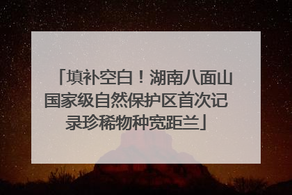 填补空白！湖南八面山国家级自然保护区首次记录珍稀物种宽距兰