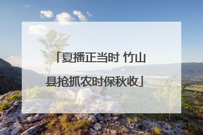 夏播正当时 竹山县抢抓农时保秋收