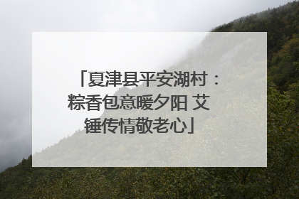 夏津县平安湖村：粽香包意暖夕阳 艾锤传情敬老心