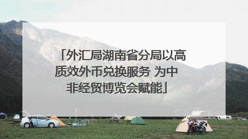外汇局湖南省分局以高质效外币兑换服务 为中非经贸博览会赋能