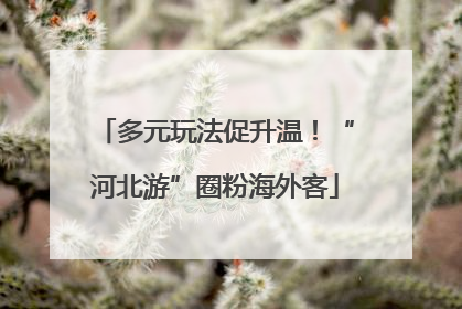 多元玩法促升温！“河北游”圈粉海外客