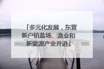 多元化发展，东营新户镇盐场、渔业和新能源产业并进