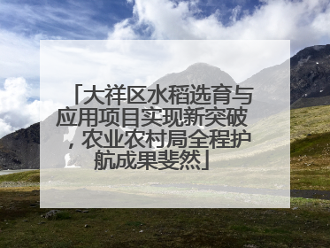 大祥区水稻选育与应用项目实现新突破，农业农村局全程护航成果斐然