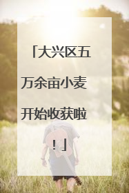 大兴区五万余亩小麦开始收获啦！