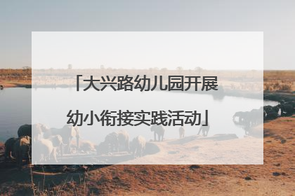 大兴路幼儿园开展幼小衔接实践活动
