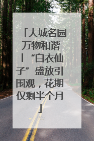 大城名园 万物和谐│“白衣仙子”盛放引围观，花期仅剩半个月