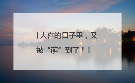 大喜的日子里，又被“萌”到了！