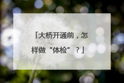 大桥开通前，怎样做“体检”？