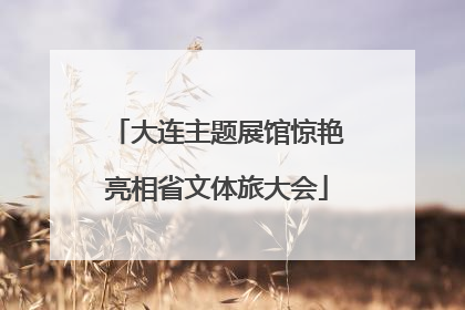 大连主题展馆惊艳亮相省文体旅大会