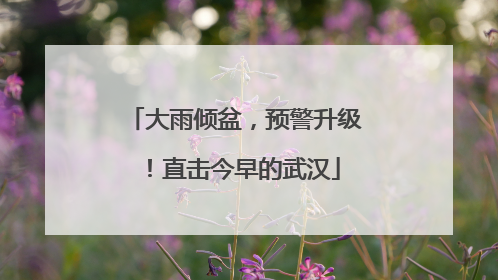 大雨倾盆，预警升级！直击今早的武汉