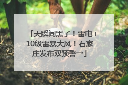 天瞬间黑了！雷电+10级雷暴大风！石家庄发布双预警→