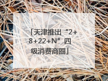 天津推出“2+8+22+N”四级消费商圈