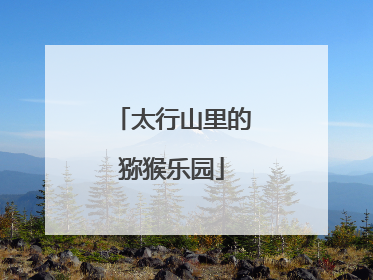 太行山里的猕猴乐园