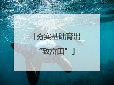夯实基础育出“致富田”
