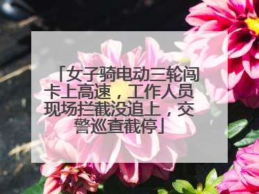 女子骑电动三轮闯卡上高速，工作人员现场拦截没追上，交警巡查截停