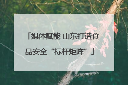 媒体赋能 山东打造食品安全“标杆矩阵”