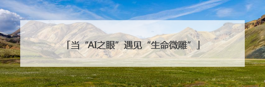 当“AI之眼”遇见“生命微雕”