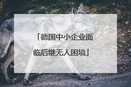 德国中小企业面临后继无人困境