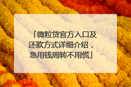 微粒贷官方入口及还款方式详细介绍，急用钱周转不用慌
