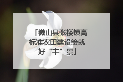微山县张楼镇高标准农田建设绘就好“丰”景