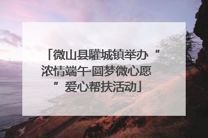 微山县驩城镇举办“浓情端午·圆梦微心愿”爱心帮扶活动