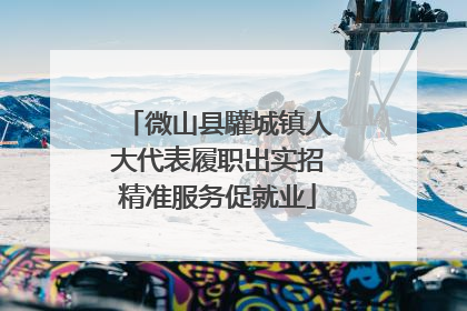 微山县驩城镇人大代表履职出实招精准服务促就业