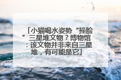 小猫喝水姿势“撞脸”三星堆文物？博物馆：该文物并非来自三星堆，有可能是它