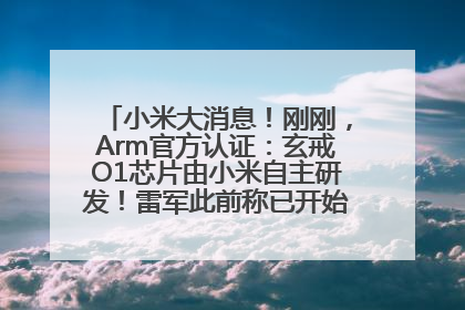小米大消息！刚刚，Arm官方认证：玄戒O1芯片由小米自主研发！雷军此前称已开始大规模量产