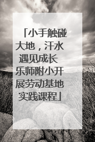 小手触碰大地，汗水遇见成长 乐师附小开展劳动基地实践课程