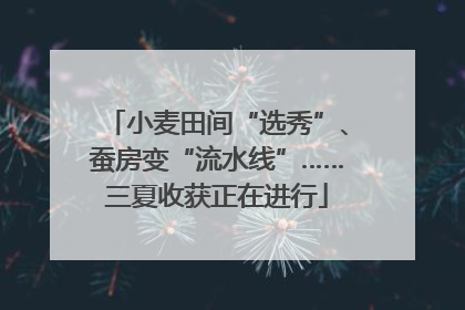 小麦田间“选秀”、蚕房变“流水线”……三夏收获正在进行