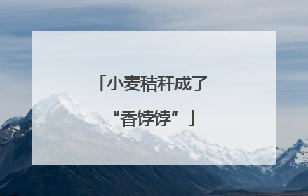 小麦秸秆成了“香饽饽”