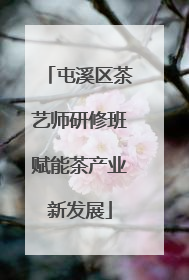 屯溪区茶艺师研修班赋能茶产业新发展