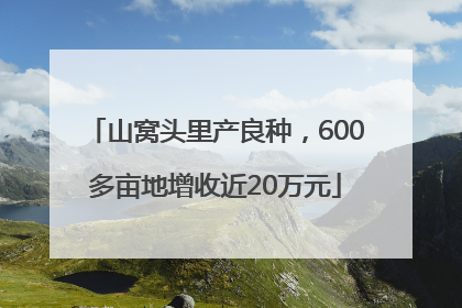 山窝头里产良种，600多亩地增收近20万元