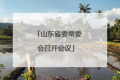 山东省委常委会召开会议