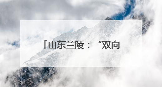 山东兰陵：“双向奔赴”打造蔬菜产业保障“升级版”