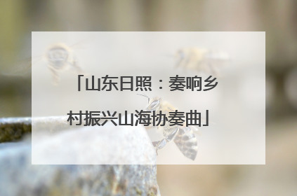 山东日照：奏响乡村振兴山海协奏曲
