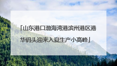 山东港口渤海湾港滨州港区港华码头迎来入夏生产小高峰