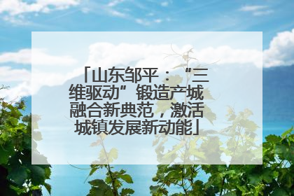 山东邹平：“三维驱动”锻造产城融合新典范，激活城镇发展新动能