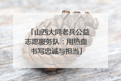 山西大同老兵公益志愿服务队：用热血书写忠诚与担当